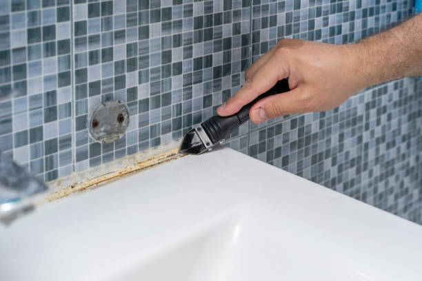 Best Mold Testing  in Bellevue, IA