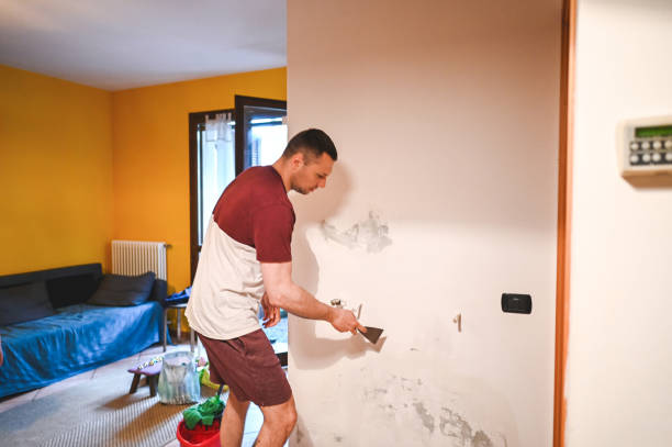 Best Affordable Mold Removal  in Bellevue, IA